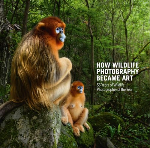 How Wildlife Photography Became Art: 55 Years of Wildlife Photographer of the Year von NHM