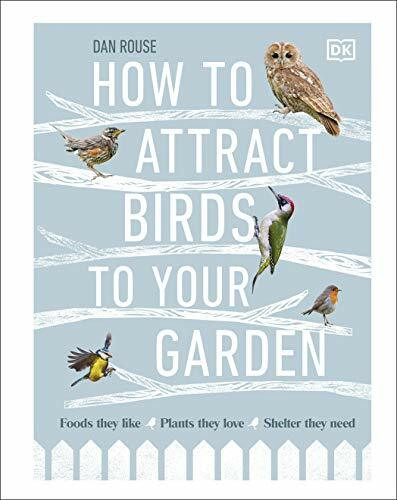 How to Attract Birds to Your Garden: Foods they like, plants they love, shelter they need How to Attract Birds to Your Garden: Foods they like, plants they love, shelter they need
