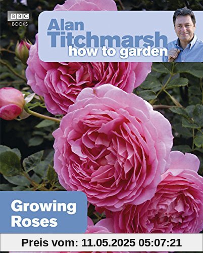 How to Garden: Growing Roses