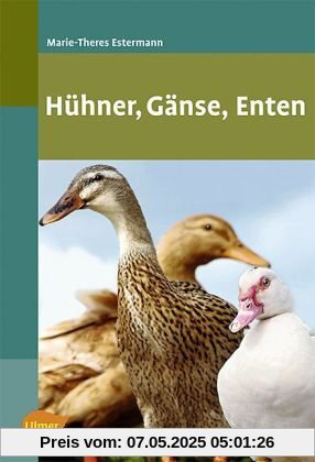 Hühner, Gänse, Enten