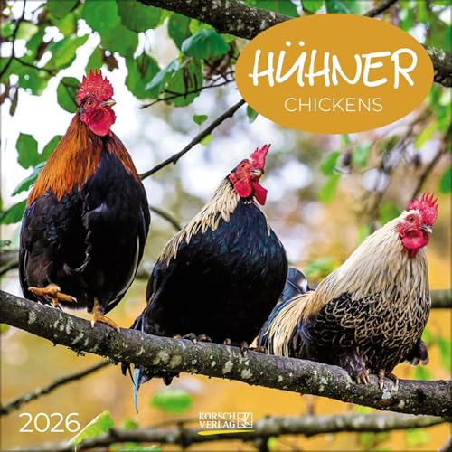 Hühner 2026: Broschürenkalender mit Ferienterminen. Tierkalender mit viel Platz für Notizen. Mit Monatskalendarium zum Eintragen. 30 x 30 cm von Korsch Verlag