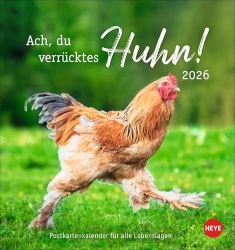 Hühner Postkartenkalender 2026 - Ach, du verrücktes Huhn!: Der Postkarten-Tischkalender 2026 für Fans des Federviehs mit coolen Sprüchen. ... 16 x 17 cm (Postkartenkalender Heye) von Heye
