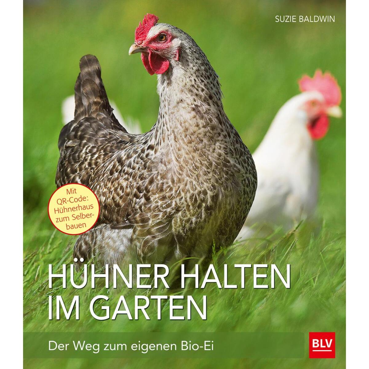 Hühner halten im Garten von Blv