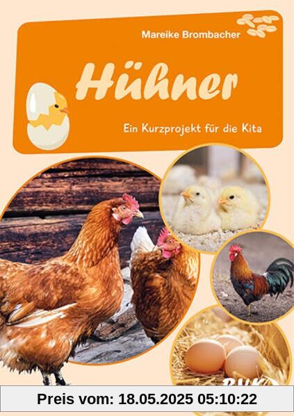 Hühner: Ein Kurzprojekt für die Kita (Kita-Kurzprojekte) | Tiere im Kindergarten kennenlernen
