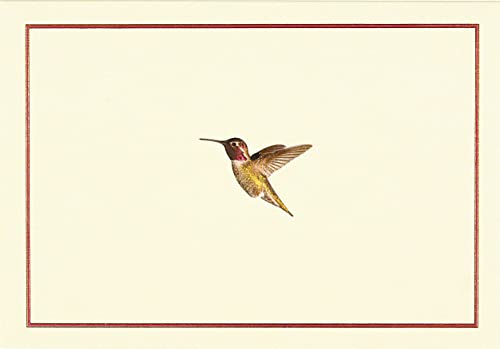 Hummingbird Flight Note Cards von Peter Pauper Press