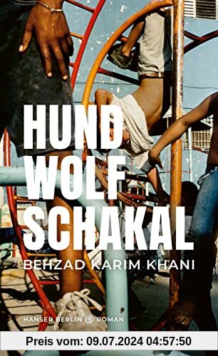 Hund, Wolf, Schakal: Roman