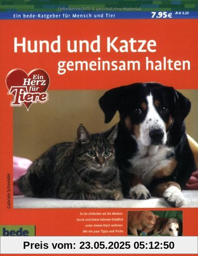 Hund und Katze gemeinsam halten zu Hause Hund und Katze gemeinsam halten zu Hause