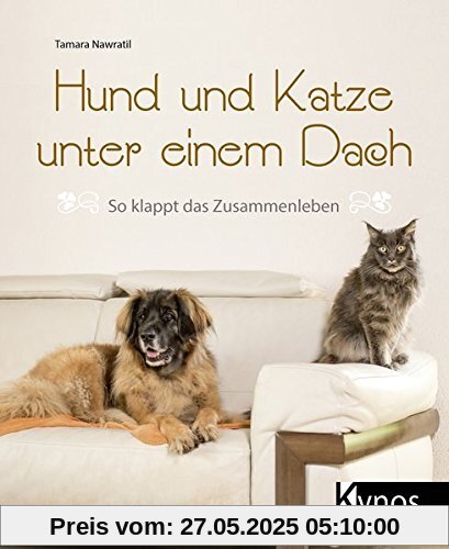 Hund und Katze unter einem Dach: So klappt das Zusammenleben