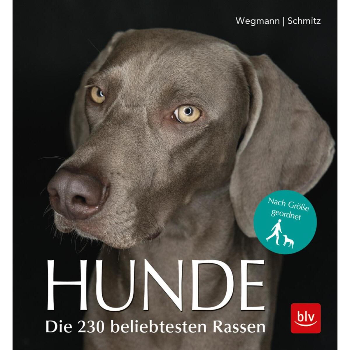 Hunde von Blv