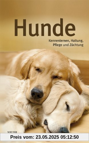 Hunde Hunde
