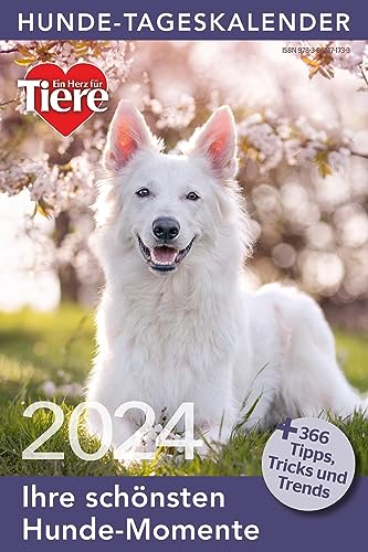 Ein Herz für Tiere: Hunde Tageskalender 2024 (Tischkalender, Wandkalender) von Ein Herz für Tiere