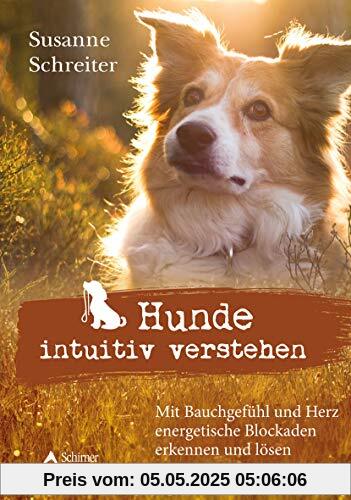 Hunde intuitiv verstehen: Mit Bauchgefühl und Herz energetische Blockaden erkennen und lösen