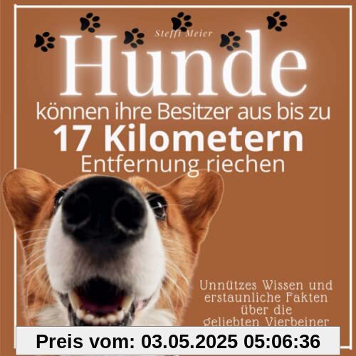 Hunde können ihre Besitzer aus bis zu 17 Kilometern Entfernung riechen: Unnützes Wissen und erstaunliche Fakten über die geliebten Vierbeiner