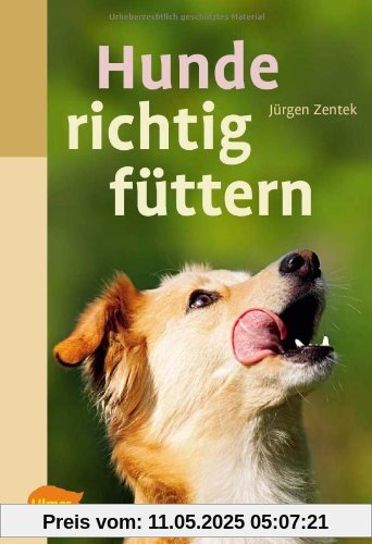 Hunde richtig füttern