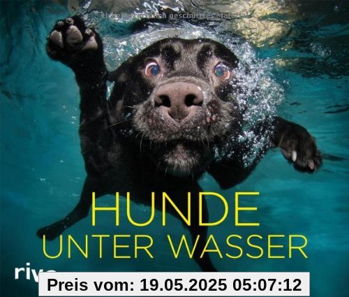 Hunde unter Wasser