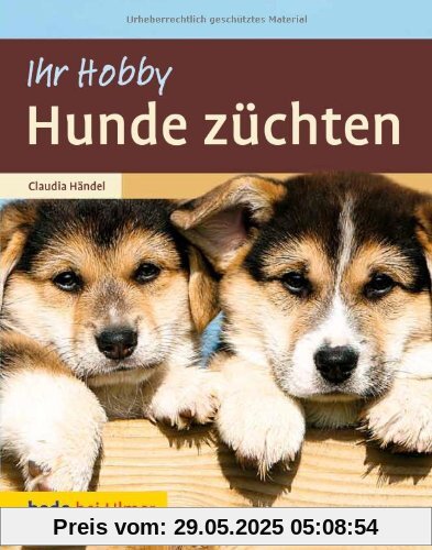 Hunde züchten Hunde züchten