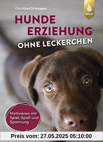Hundeerziehung ohne Leckerchen: Motivieren mit Spiel, Spaß und Spannung