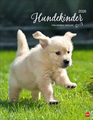 Hundekinder Posterkalender 2026: von Monika Wegler. Welpen-Fotos zum Dahinschmelzen in einem Wandkalender. Posterkalender mit Hundeporträts für alle Fans der Fellnasen. von Heye
