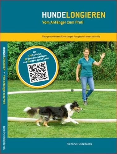 Hundelongieren: Vom Anfänger zum Profi