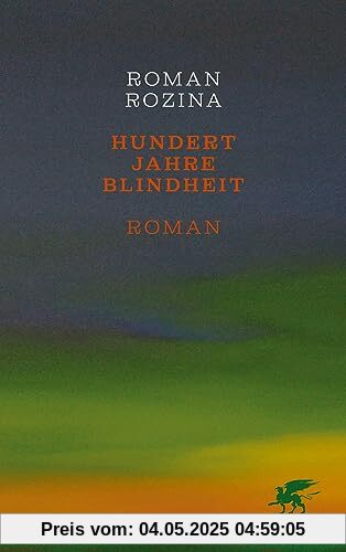 Hundert Jahre Blindheit: Roman