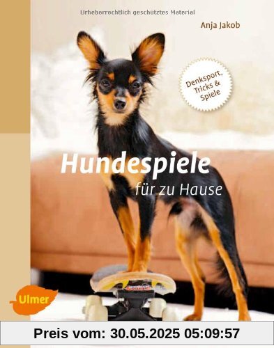 Hundespiele für zu Hause: Denksport, Tricks und Spiele