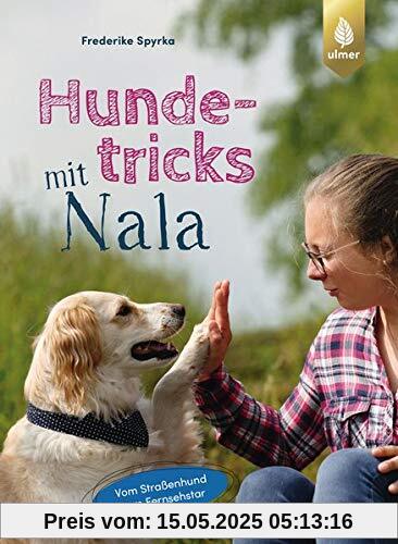 Hundetricks mit Nala: Vom Straßenhund zum Fernsehstar