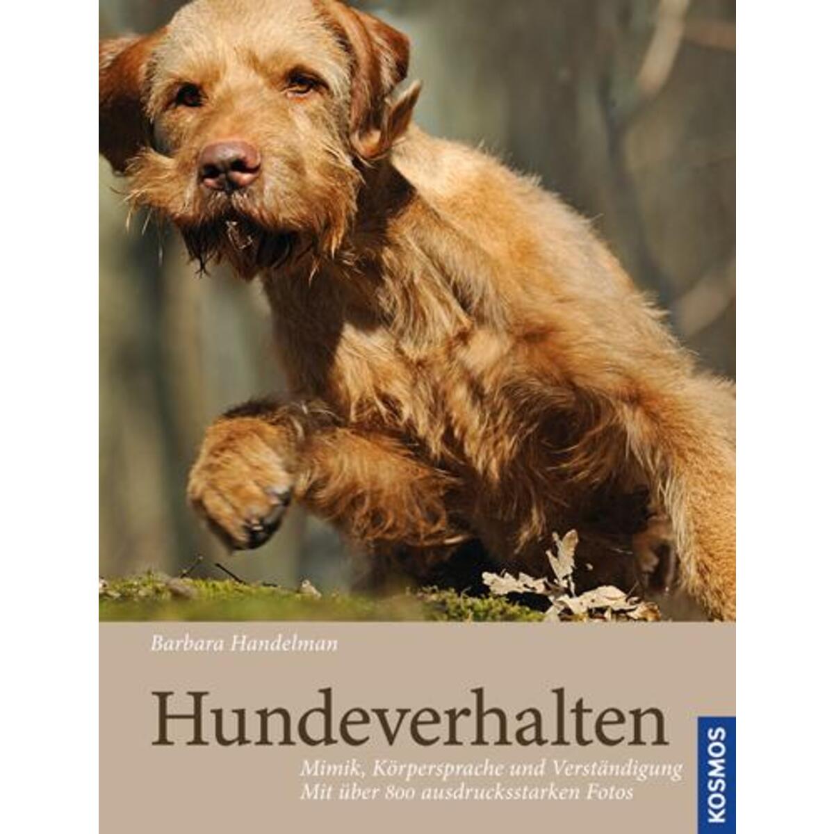 Hundeverhalten Hundeverhalten von Franckh-Kosmos
