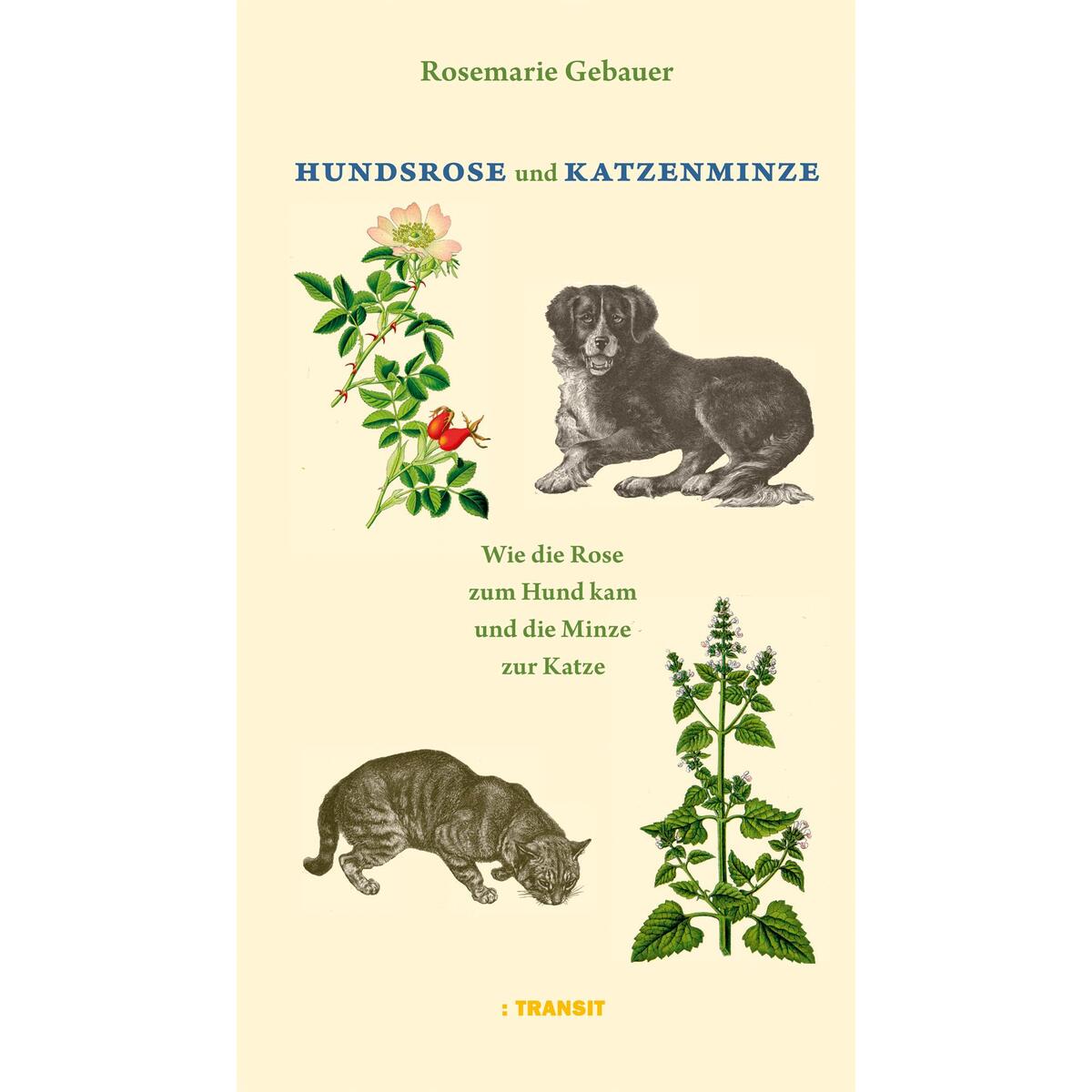 Hundsrose und Katzenminze Hundsrose und Katzenminze von Transit Buchverlag GmbH