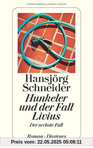 Hunkeler und der Fall Livius: Der sechste Fall (detebe)