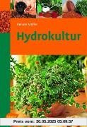 Hydrokultur Hydrokultur