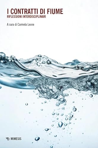 I contratti di Fiume. Riflessioni interdisciplinari (Mimesis) von Mimesis