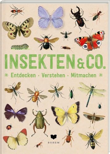 INSEKTEN & Co.: Entdecken - Verstehen - Mitmachen