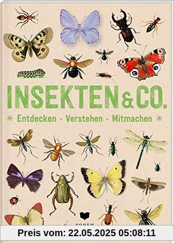 INSEKTEN & Co.: Entdecken - Verstehen - Mitmachen