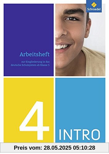 INTRO Mathematik SI: Arbeitsheft 4