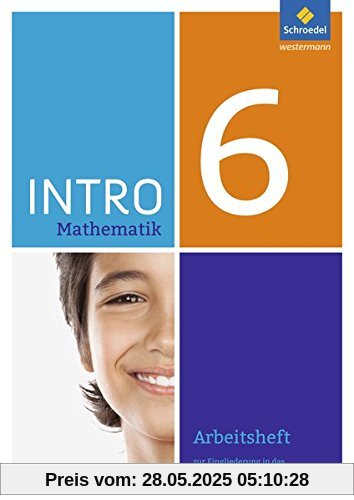 INTRO Mathematik SI: Arbeitsheft 6