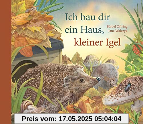 Ich bau dir ein Haus, kleiner Igel