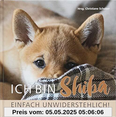 Ich bin Shiba. Einfach unwiderstehlich!