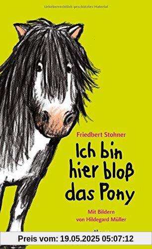 Ich bin hier bloß das Pony