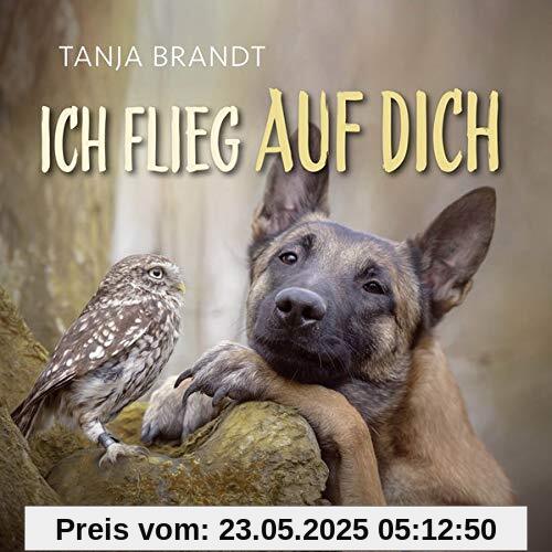 Ich flieg auf dich