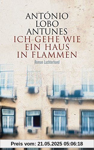 Ich gehe wie ein Haus in Flammen: Roman