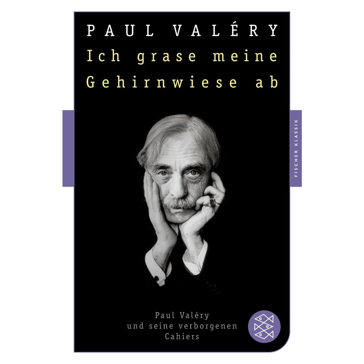 Ich grase meine Gehirnwiese ab von S. Fischer Verlag