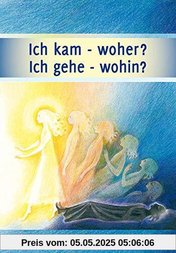 Ich kam - woher? Ich gehe - wohin?: Leben nach dem Tod, die Reise deiner Seele