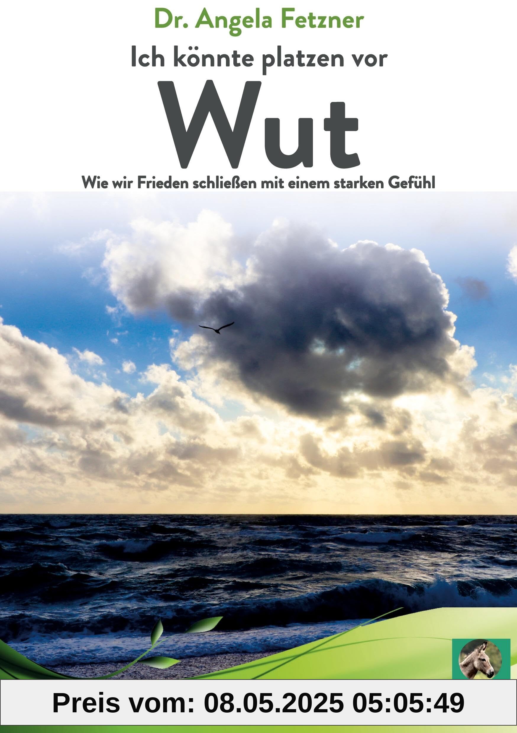 Ich könnte platzen vor Wut: Wie wir Frieden schließen mit einem starken Gefühl