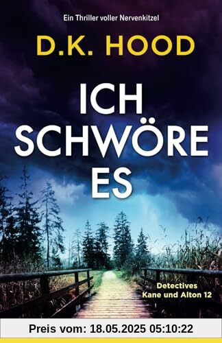 Ich schwöre es: Ein Thriller voller Nervenkitzel (Detectives Kane und Alton, Band 12)