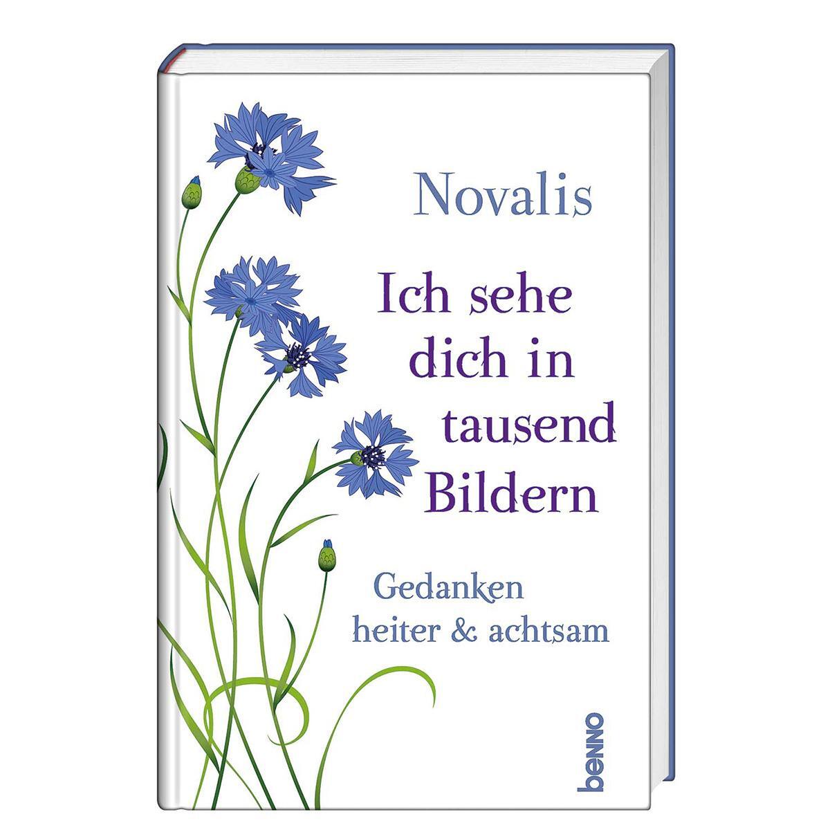 Ich sehe dich in tausend Bildern von St. Benno Verlag