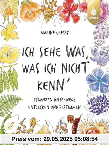 Ich sehe was, was ich nicht kenn´: Pflanzen unterwegs entdecken und bestimmen