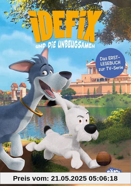 Idefix und die Unbeugsamen - Lawines Bällchen - Erstlesebuch zur Serie