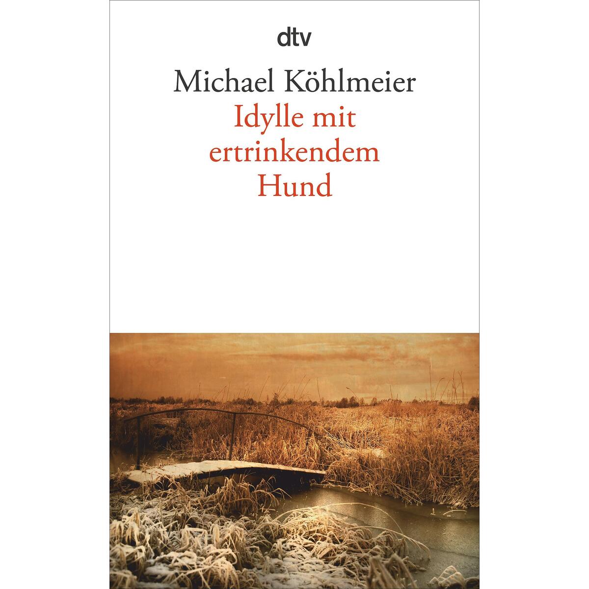 Idylle mit ertrinkendem Hund von dtv Verlagsgesellschaft