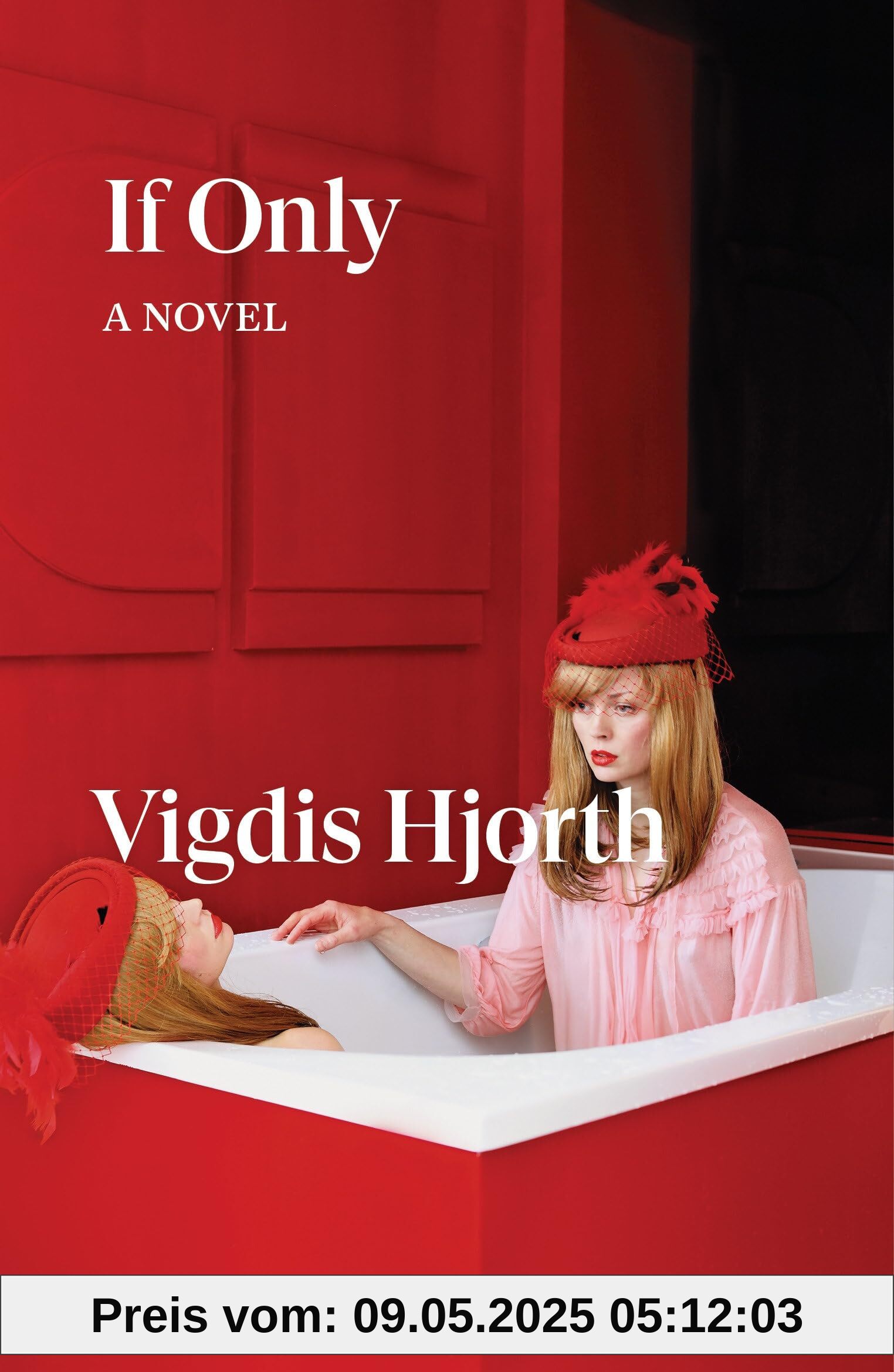 If Only: a novel (Verso Fiction)