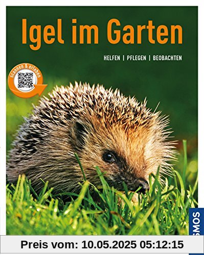 Igel im Garten (Mein Garten): Helfen Pflegen Beobachten